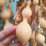 Ant Belly Gourd Seeds – Unique Ant-Shaped Variety, Easy to Grow, Highly Adaptable, Perfect for Hand Play & Collection
