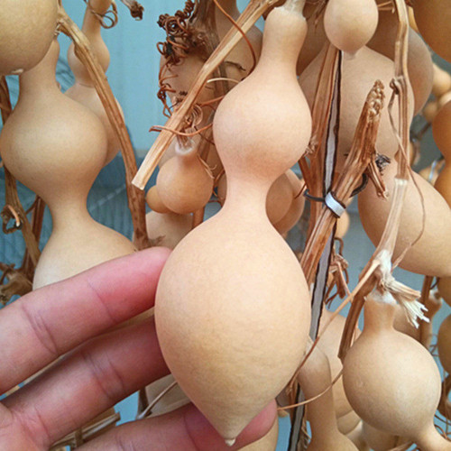 Ant Belly Gourd Seeds – Unique Ant-Shaped Variety, Easy to Grow, Highly Adaptable, Perfect for Hand Play & Collection