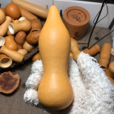 'Ben Zhang' Gourd Seeds – Naturally Grown Variety, Easy to Grow, Multi-Purpose, Perfect for Home Gardeners