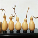 Flower Bottle Gourd Seeds – Ornamental Annual Vine, Sun-Loving, Easy to Grow, High Ornamental & Collectible Value