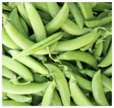 Sugar Daddy SNAP, Heirloom, Organic Seeds, Great for Salads/Snacks
