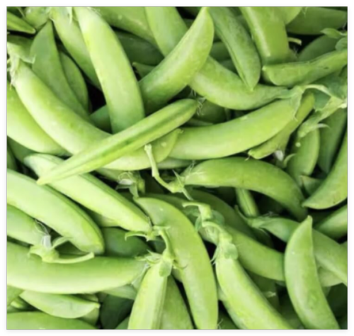 Sugar Daddy SNAP, Heirloom, Organic Seeds, Great for Salads/Snacks