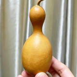 Flower Bottle Gourd Seeds – Ornamental Annual Vine, Sun-Loving, Easy to Grow, High Ornamental & Collectible Value