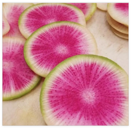 Watermelon Radish Seeds | Heirloom | Organic - Seed