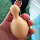 Small Bottle Gourd Seeds – High-Quality Ornamental Calabash, Easy to Grow for Trellis & Home Decor