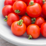 Dwarf Trailing Cherry Tomato 'Tumbling Tom Red' | Small Fruits, Sweet, Rich & Juicy for Hanging Baskets & Balconies
