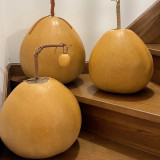 Extra Large Bottle Gourd Seeds - Sun-loving, easy to grow, versatile for crafts, decorations, and birdhouse making