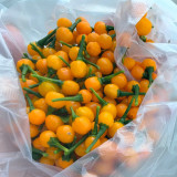 Aji Charapita