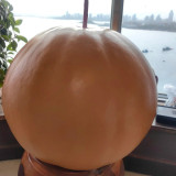 Extra Large Bottle Gourd Seeds - Sun-loving, easy to grow, versatile for crafts, decorations, and birdhouse making