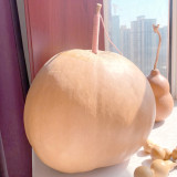 Extra Large Bottle Gourd Seeds - Sun-loving, easy to grow, versatile for crafts, decorations, and birdhouse making