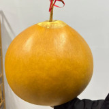 Extra Large Bottle Gourd Seeds - Sun-loving, easy to grow, versatile for crafts, decorations, and birdhouse making