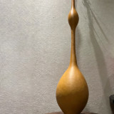 Wild Goose Neck Gourd Seeds – Premium ornamental variety, easy to grow, unique appearance, suitable for all growers