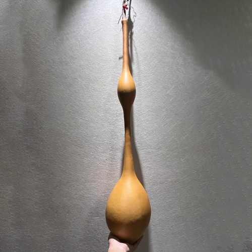 Wild Goose Neck Gourd Seeds – Premium ornamental variety, easy to grow, unique appearance, suitable for all growers