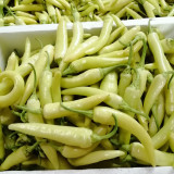 Guangxi White Jade Chili Seeds – Pickling Variety, Straight Fruit, Thick Flesh, Intense Pungent Heat, High Yield