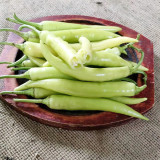 Guangxi White Jade Chili Seeds – Pickling Variety, Straight Fruit, Thick Flesh, Intense Pungent Heat, High Yield