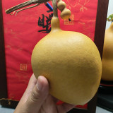 Peach Shaped Gourd Seeds – unique heart shape, high yield, easy to grow, perfect for home gardening