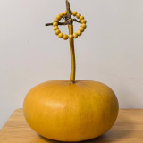 Millstone Bottle Gourd Seeds – High-quality ornamental variety, sun-loving, easy to grow, ideal for carving and pyrography