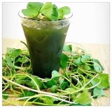 Pennywort Seeds, Gotu Kola, Centella asiatica, Rau Ma Seeds, Asian Vegies