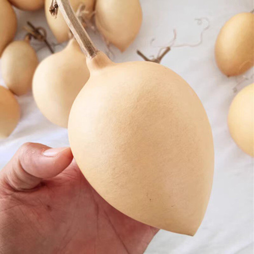 Peach Shaped Gourd Seeds – unique heart shape, high yield, easy to grow, perfect for home gardening