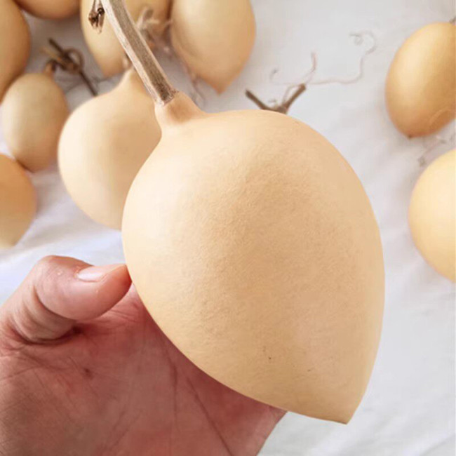 Peach Shaped Gourd Seeds – unique heart shape, high yield, easy to grow, perfect for home gardening