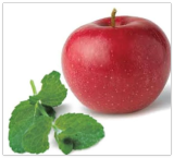 Apple Mint Seeds * HERB * Medicinal * *Butterfly MAG
