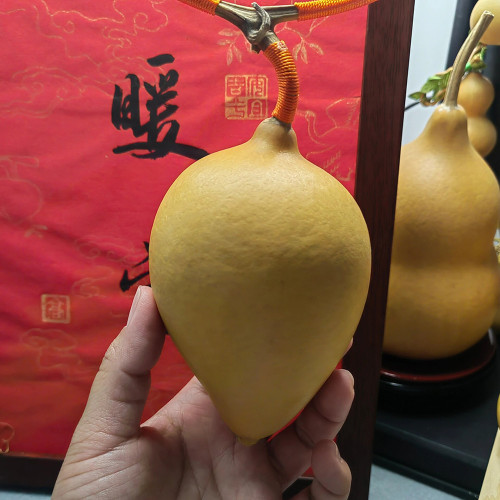 Peach Shaped Gourd Seeds – unique heart shape, high yield, easy to grow, perfect for home gardening