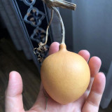 Peach Shaped Gourd Seeds – unique heart shape, high yield, easy to grow, perfect for home gardening