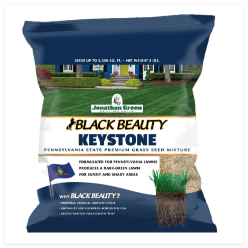 Black Beauty Keystone PA Grass Seed (Made for Pennsylvania) - Cool Season