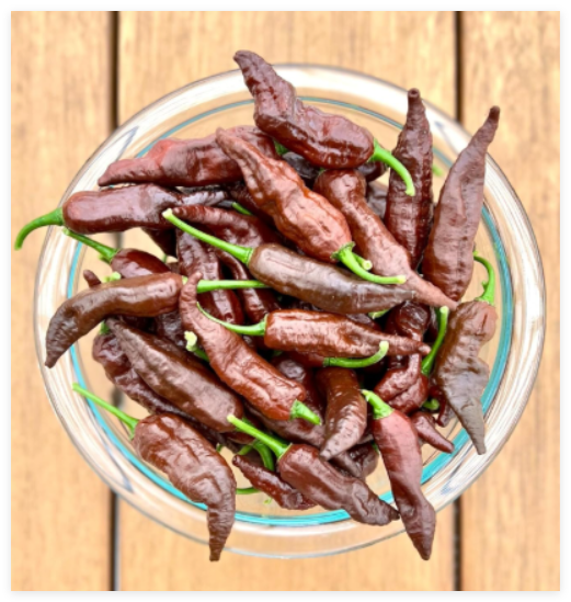 Chocolate Ghostly Jalapeño Pepper Seeds
