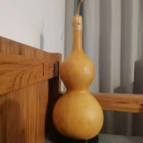 Extra Large Waist Gourd Seeds – Easy to grow, low maintenance, multi-purpose, suitable for all growers