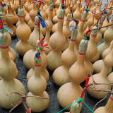 Extra Large Waist Gourd Seeds – Easy to grow, low maintenance, multi-purpose, suitable for all growers