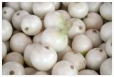 Crystal White Wax Pearl Onion Seeds – Heirloom Short-Day, High Yield, Perfect for Pickles & Garnishes