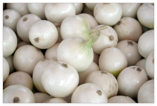 Crystal White Wax Pearl Onion Seeds – Heirloom Short-Day, High Yield, Perfect for Pickles & Garnishes