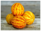 Victorian Pocket Melon Seeds, Cucumis melo var. dudaim, Plum Granny Fragrant Melon