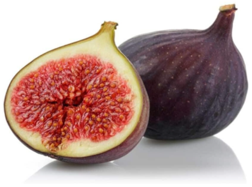 Osborne Prolific Fig Seeds for Garden Planting