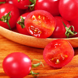 Saint Anne Cherry Tomato Seeds – High yield, easy to grow, pink fruit, excellent flavor, suitable for gardening enthusiasts