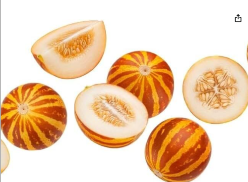 Pocket Melon Seeds for Planting – Grow Pocket-Size Edible Melons