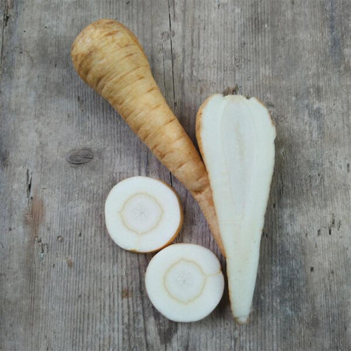 Parsnip Seeds | Pastinaca sativa – Fleshy Root with Edible Young Leaves, Cold Hardy Biennial for Soups, Stir-Fries & Salads