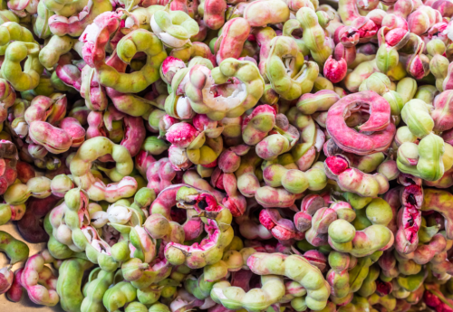 Pithecellobium Dulce Seeds, Manila Tamarind Camachile Madras Thorn Tree, Edible Tropical Fruit