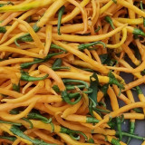 Golden Tribute Pepper Seeds – Premium Variety, High Yield, Easy to Grow, Thin Skin, Thick Flesh, Versatile Use