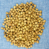 Mumashan Jicama Seeds – Early Maturing, High Yield, Easy to Grow, Sweet Crisp Flavor, Perfect for All Growers