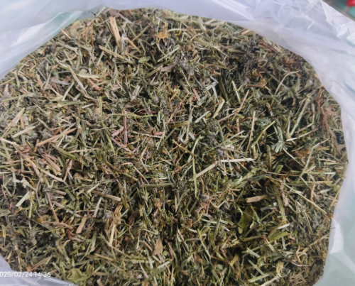 Tea Bags Cleavers (Galium aparine) | Wild Harvested Minnesota Medicinal Herb