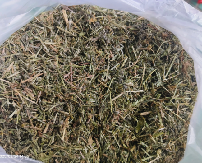 Tea Bags Cleavers (Galium aparine) | Wild Harvested Minnesota Medicinal Herb