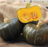 Burgess Buttercup Winter Squash Seeds | Heirloom Sweet Orange Flesh Squash For Backyard Growing