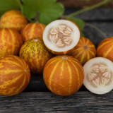 Queen Anne's Pocket Melon Seeds - Heirloom Muskmelon, Pocket-Sized Fruit, Sweet Fragrant Edible Melon