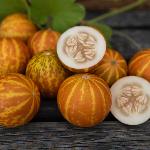 Queen Anne's Pocket Melon Seeds - Heirloom Muskmelon, Pocket-Sized Fruit, Sweet Fragrant Edible Melon