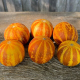 Queen Anne's Pocket Melon Seeds - Heirloom Muskmelon, Pocket-Sized Fruit, Sweet Fragrant Edible Melon