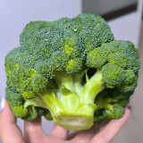 Broccoli Seeds – Annual/Biennial Herbaceous Plant, Rich in Nutrients, Easy to Grow for Home Gardeners