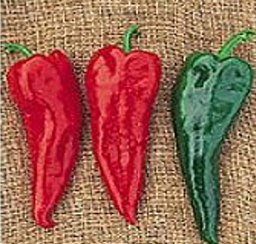 Organic Crimson Hot Chili Pepper Seeds, Non-GMO Heirloom Variety