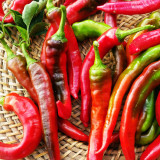 Jimmy Nardello Sweet Pepper Seeds | Rich Flavor, Thin Skin, High Yield, Adaptable for Frying & Drying